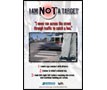 Pedestrian Safety