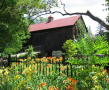 Adamson Estate - Barn