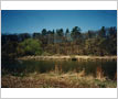 Credit River