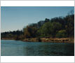 Credit River