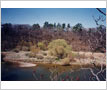 Credit River Flats
