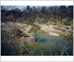 Credit River Flats