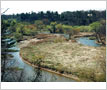 Credit River Flats