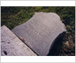 Elmbank Roman Catholic Cemetery, Banane Family Grave Stone