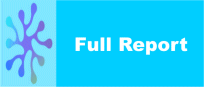 Full Report