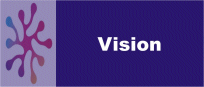 Vision Strategy