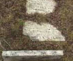 Cemetery Kindree