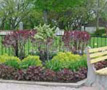 Cemetery Streetsville