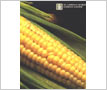 Press Package:  St. Lawrence Starch Ltd.