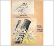 Watercolour Painting - 