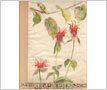 Watercolour Painting - 