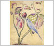Watercolour Painting -