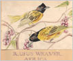 Watercolour Painting - 