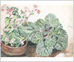 Watercolour Painting - 