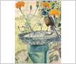 Watercolour Painting - 