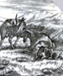 Minton Tile - Goats