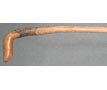 Walking Stick
