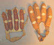 Gloves, Cricket
