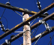 Forestry Public Utilities