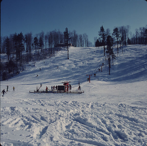 Mississauga.ca Residents Browse & Search All Images