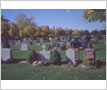 Dixie Union Cemetery