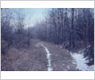 Carr Farm, Former Toronto Suburban Railway Route