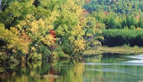 Natural Area