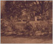 Croquet on Dr. Vernon�s Lawn, Clarkson, 1918