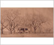 Dr. Edward Vernon�s Home, Clarkson, 1915