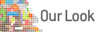 Older Adult Project branding description