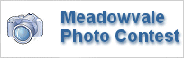 Meadowvale 40th Anniversary Photo Contest