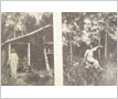 Mazo de la Roche at Trail Cottage, Clarkson