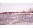 A.E. Crookes Park Shoreline, Lakeview