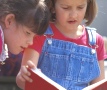 Reading