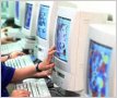Complete an Online Survey