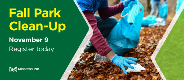 Hands cleaning up the ground in a park