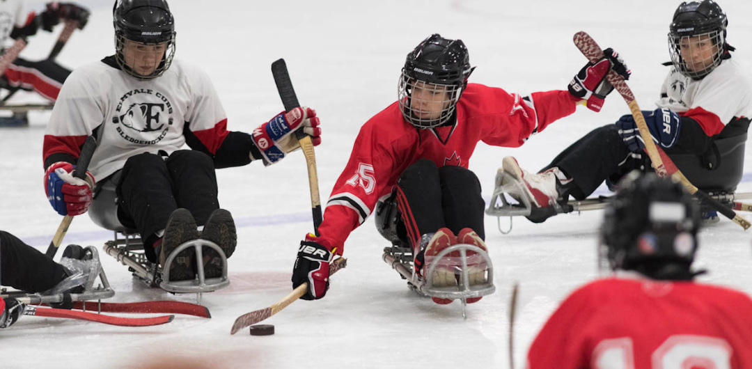 Athletes playing para ice hockey 