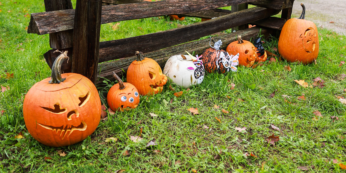 A series of pumpkins resting against a fence.