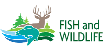 Fish and Wildlife 