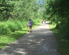 Person walking on Etobicoke Creek Trail