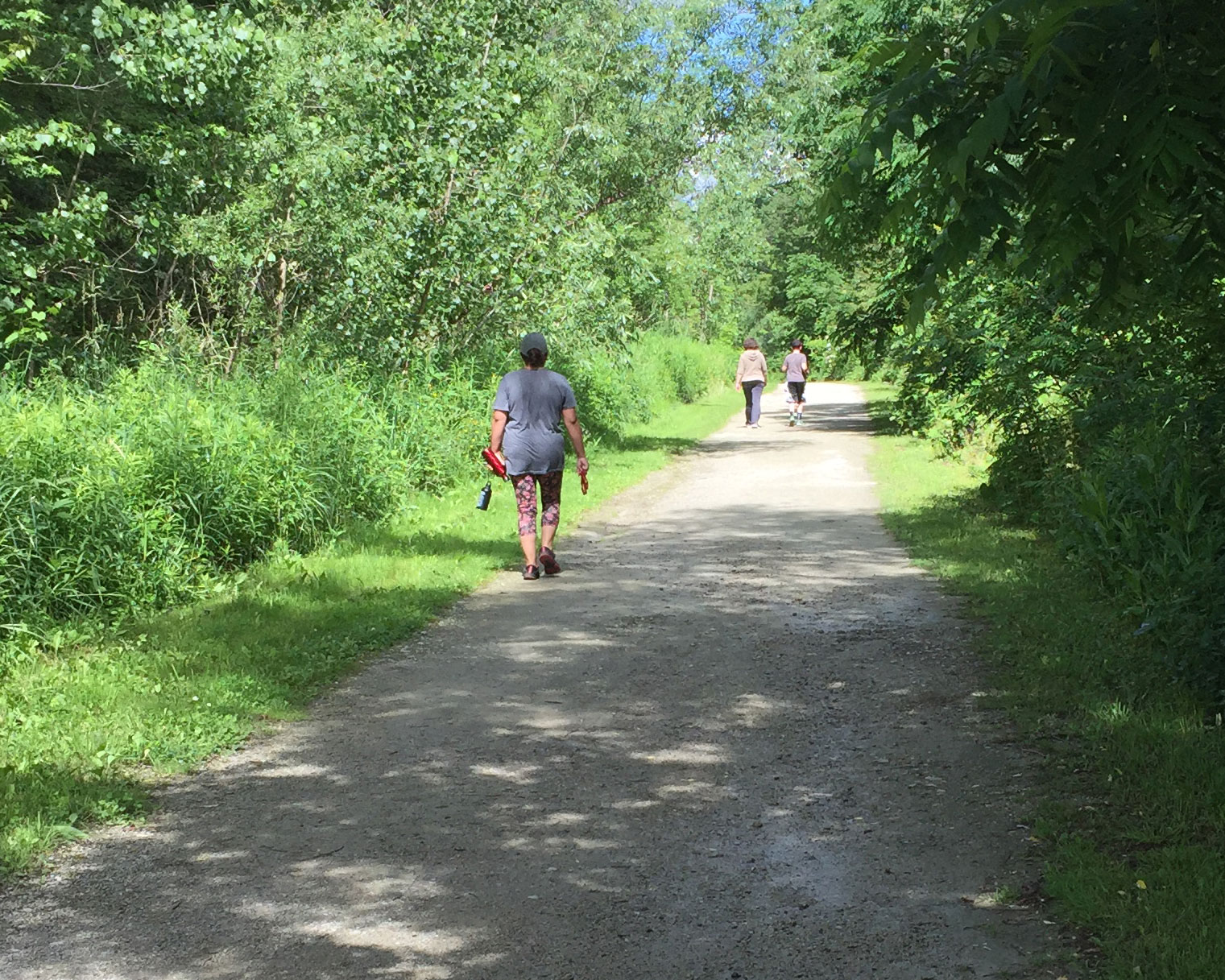 Etobicoke Creek Trail improvements City of Mississauga