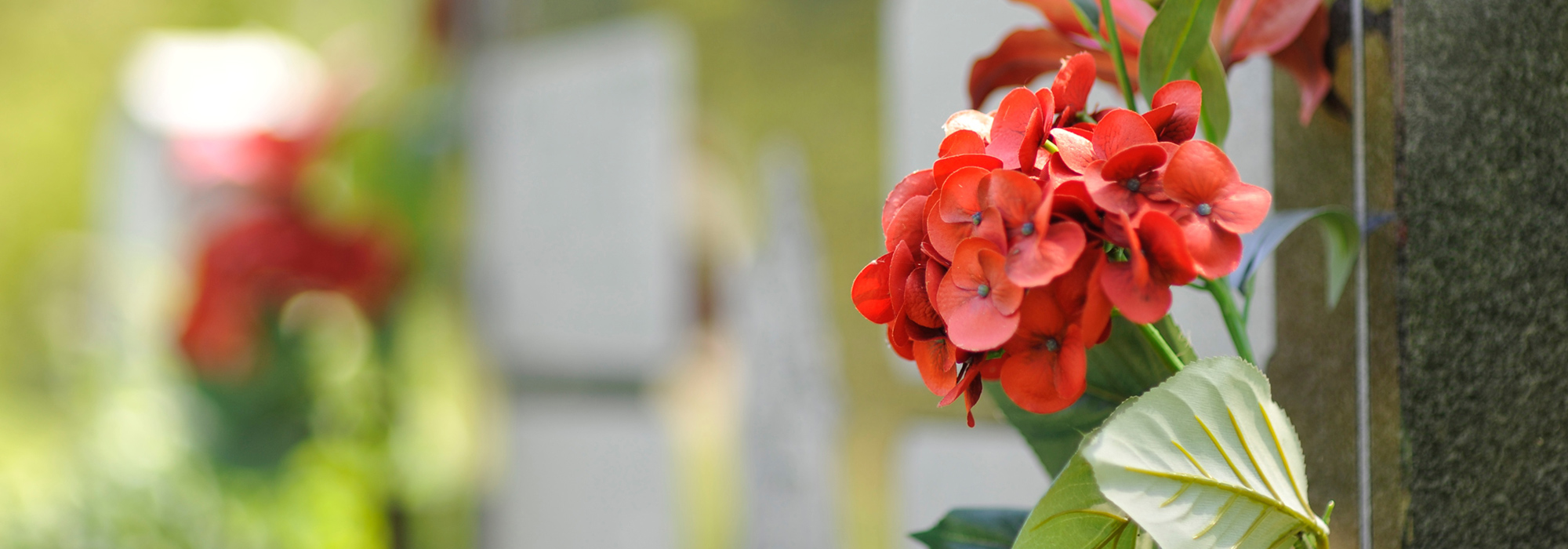 Bouquet of Remembrance Day poppies at Streetsville Cemetery