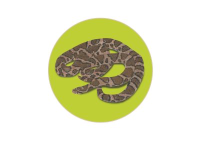 Snake with alternating red or reddish brown blotches that are distinctly outlined in black along its back and sides
