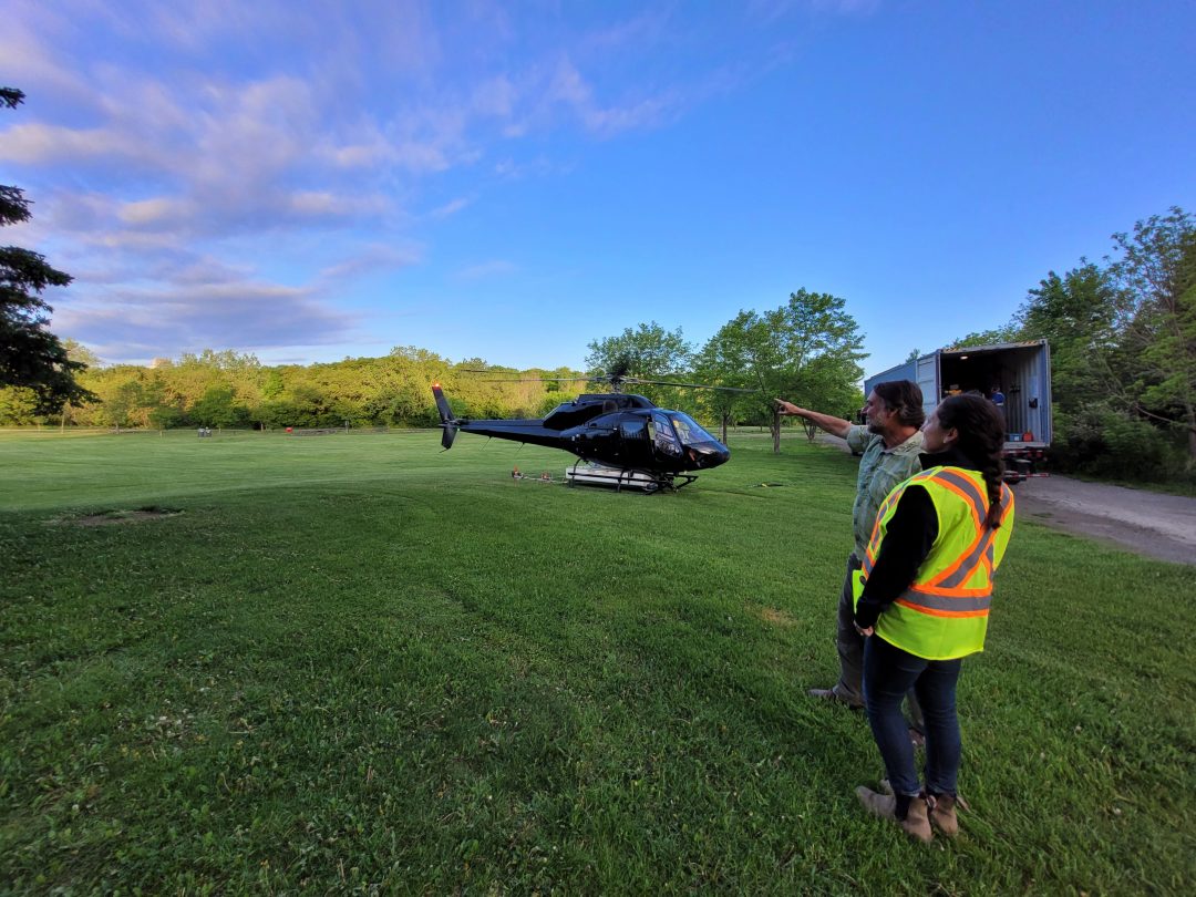 City’s 2022 Aerial Spray Program Completed – City of Mississauga