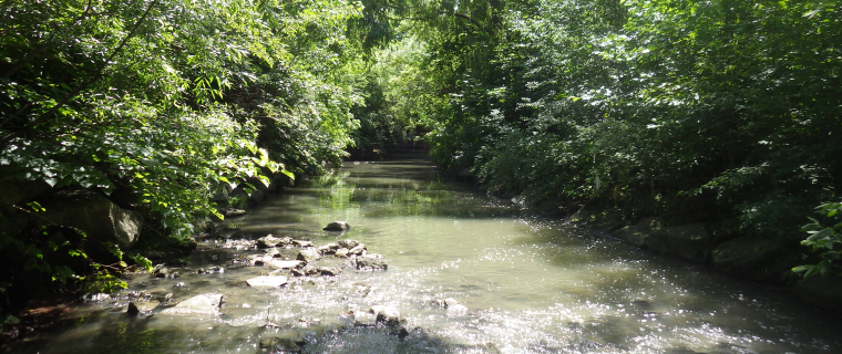 Cooksville Creek with elevated water levels.