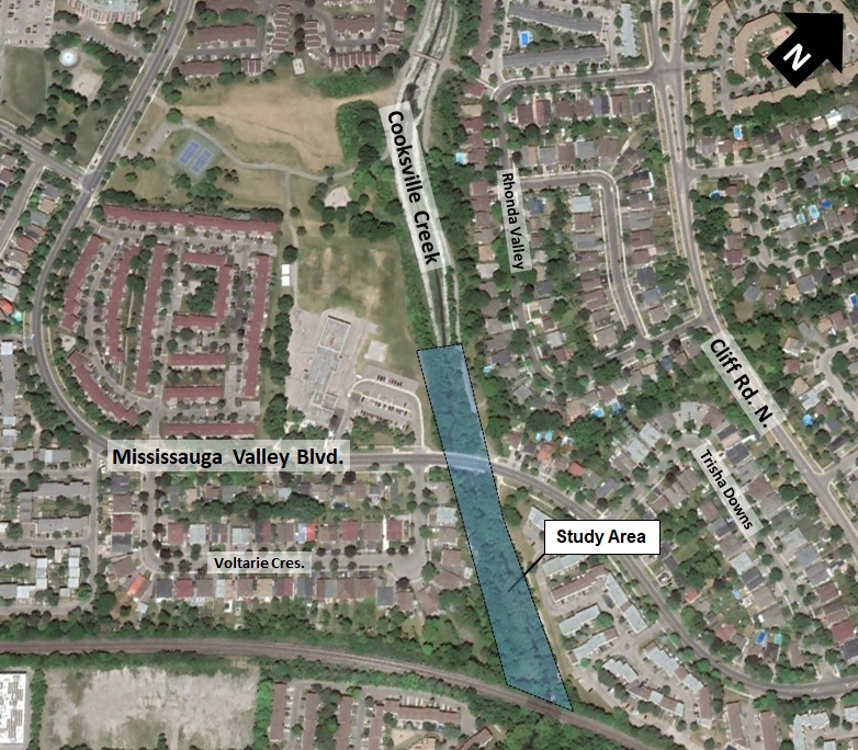 An overhead view of the Cooksville Creek and surrounding residential neighbourhoods with the study area indicated in blue.