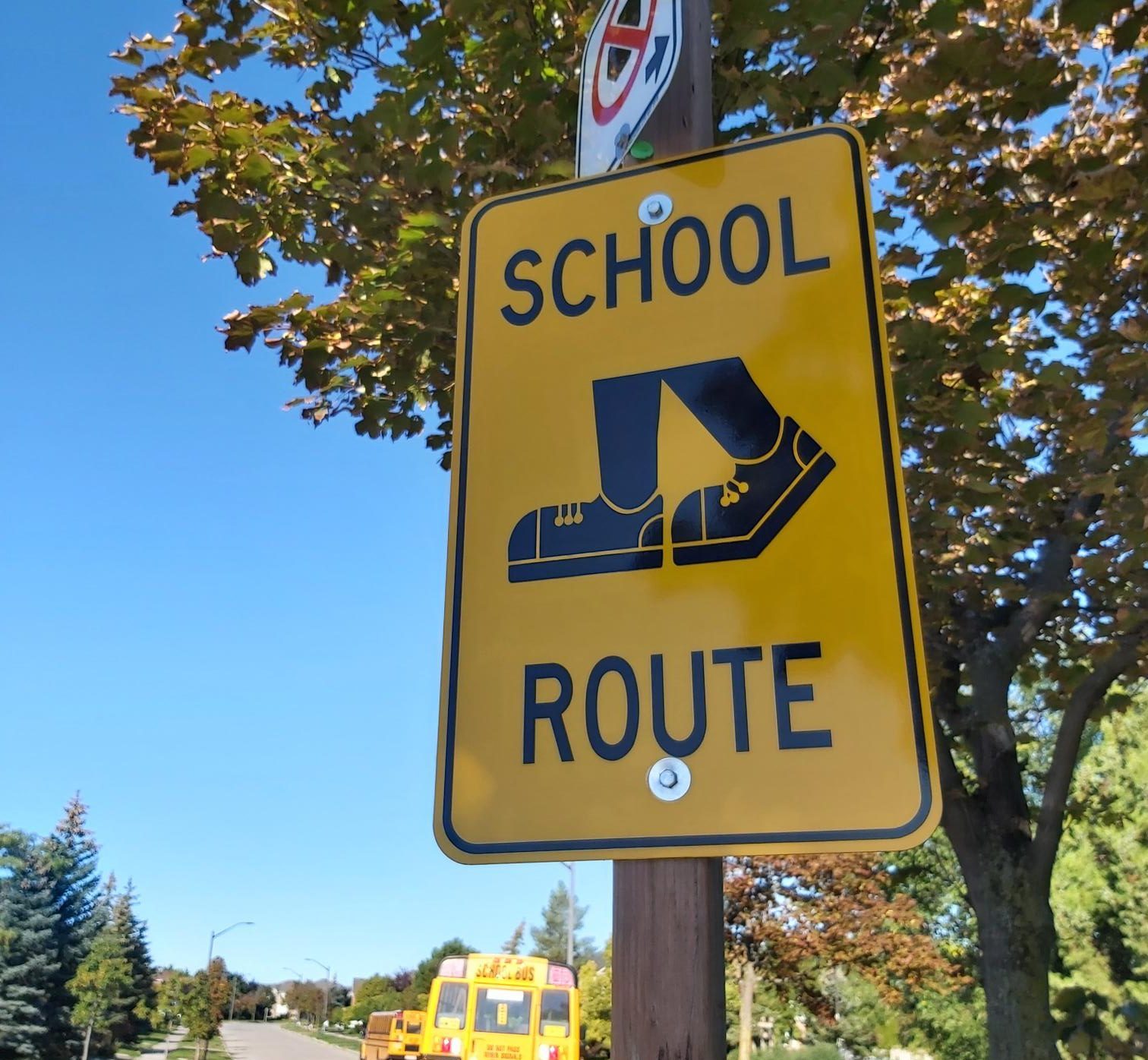 Yellow school route sign installed on a wooden post