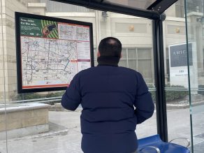 Person looking at transit map at a bus shelter