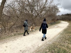 Dos personas paseando a un perro por un sendero