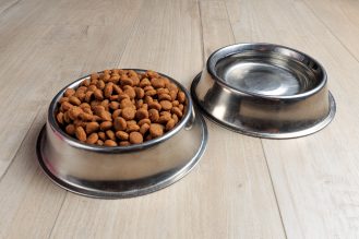Bowls with dog food and water on wood floor